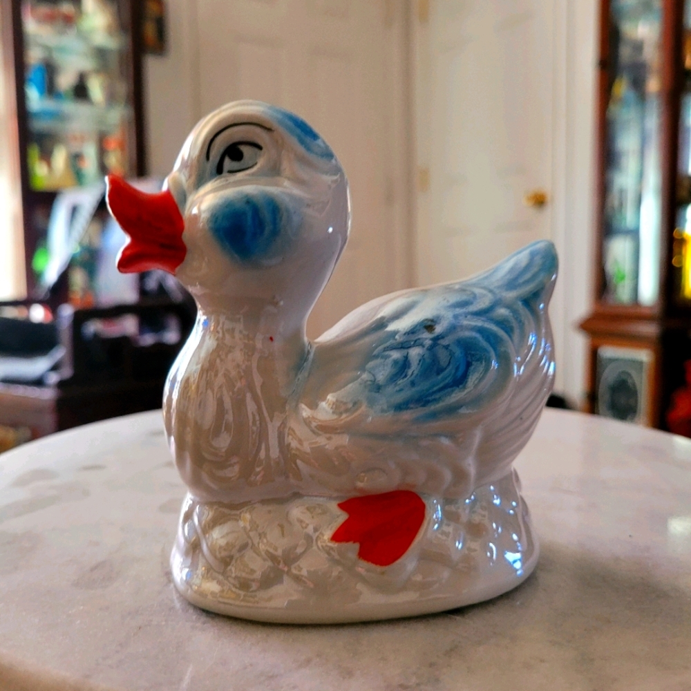 Santa Rosa porclein duck